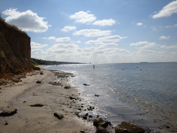 Gallery image 1