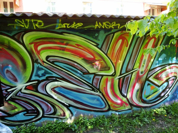 Gallery image 5